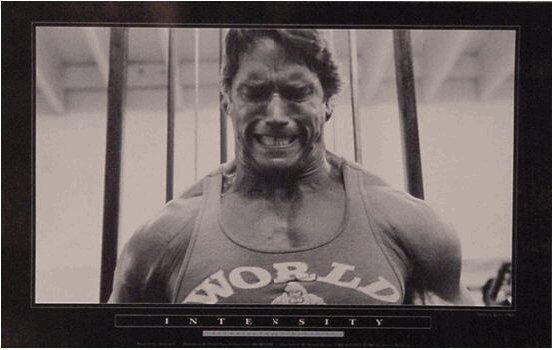 Arnold-Schwarzenegger-intensity